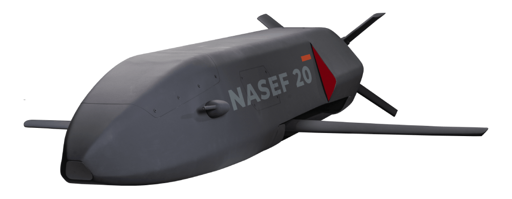 NASEF 20